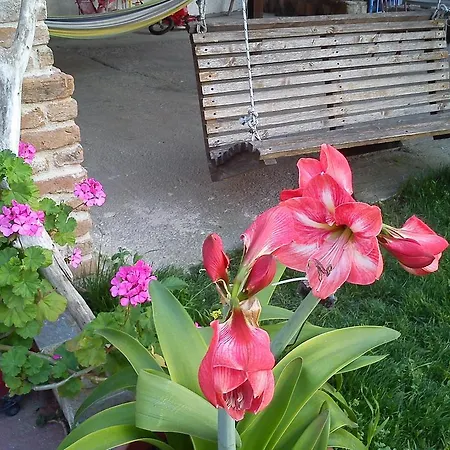 Mylos Appartement
